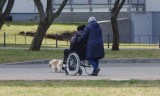 Przez jedną poprawkę osoby z niepełnosprawnością mogą stracić uprawnienia