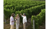 Problem francuskich winiarzy, mają przejść na uprawę oliwek