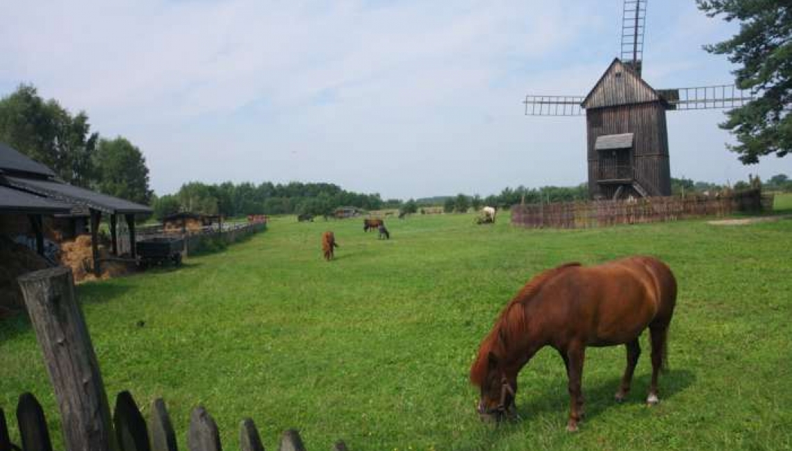 Tarczyn – naturalnie i nowocześnie 