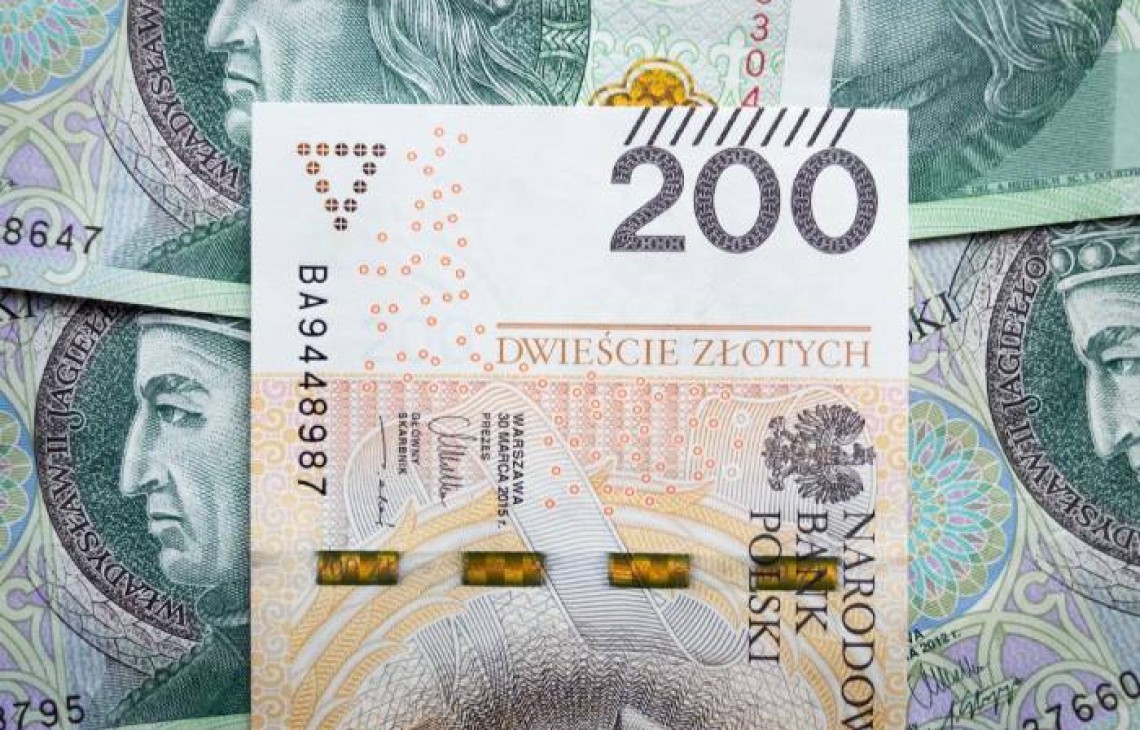 Podsumowanie i prognoza walutowa. Ciężki rok dla polskiej złotówki. Co będzie z walutami w 2023? 