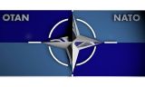 Wystąpienie prezydenta Dudy na szczycie NATO
